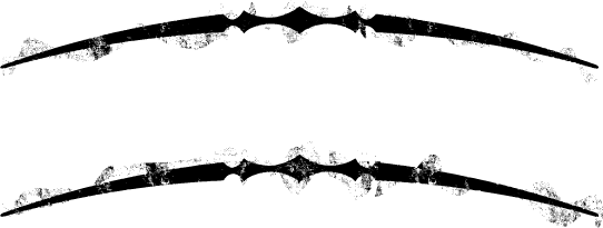 Pintacular logo, reversed for dark backgrounds